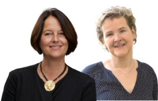 Lerncoach Ausbildung Hybrid Präsenz, Lerncoach Master Ausbildung, Lerncaoching Praxis